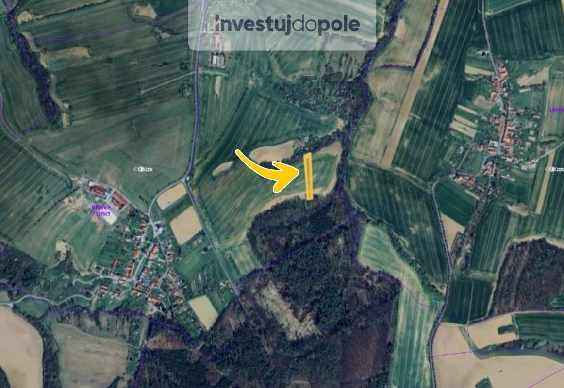 Prodej zemědělský pozemek - Milovice, Soběsuky, 3 446 m²