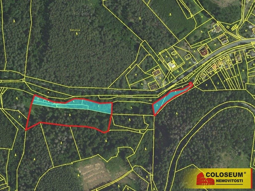 Prodej les - Letovice, 679 61, 12 020 m²